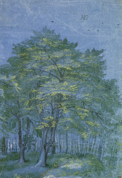 Grupo de árboles en un bosque, c.1600 de Hendrik Goltzius